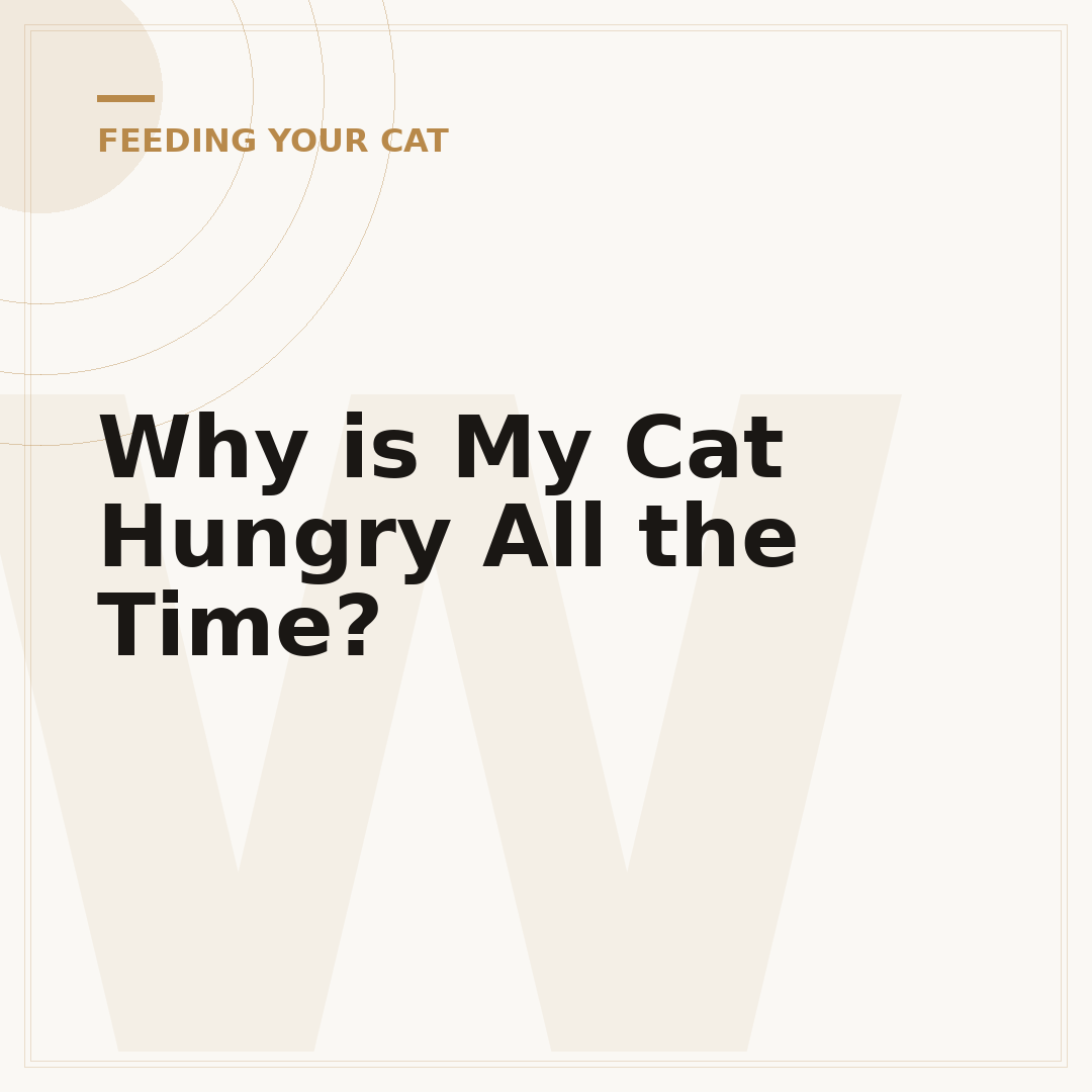 Why is My Cat Hungry All the Time?