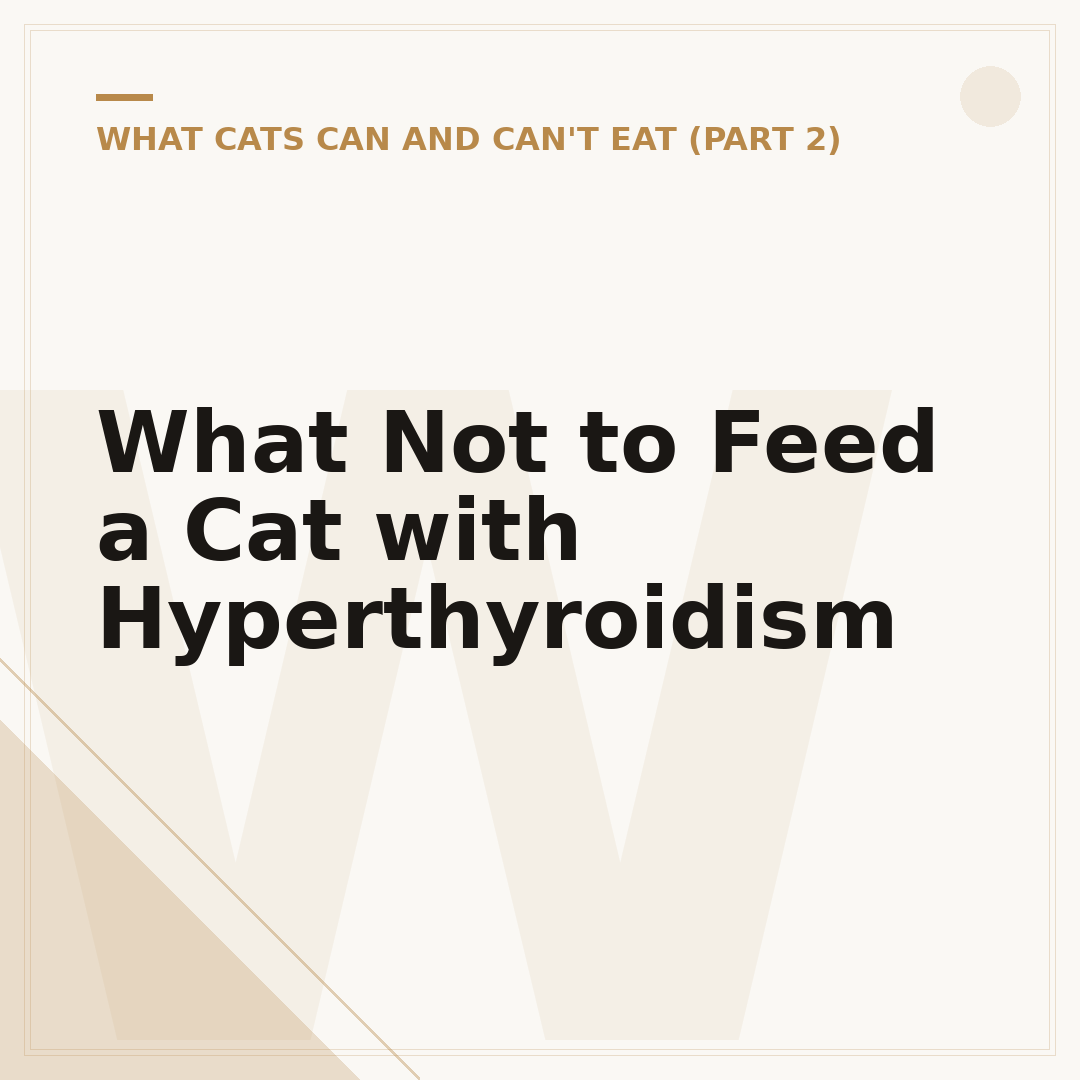 What Not to Feed a Cat with Hyperthyroidism