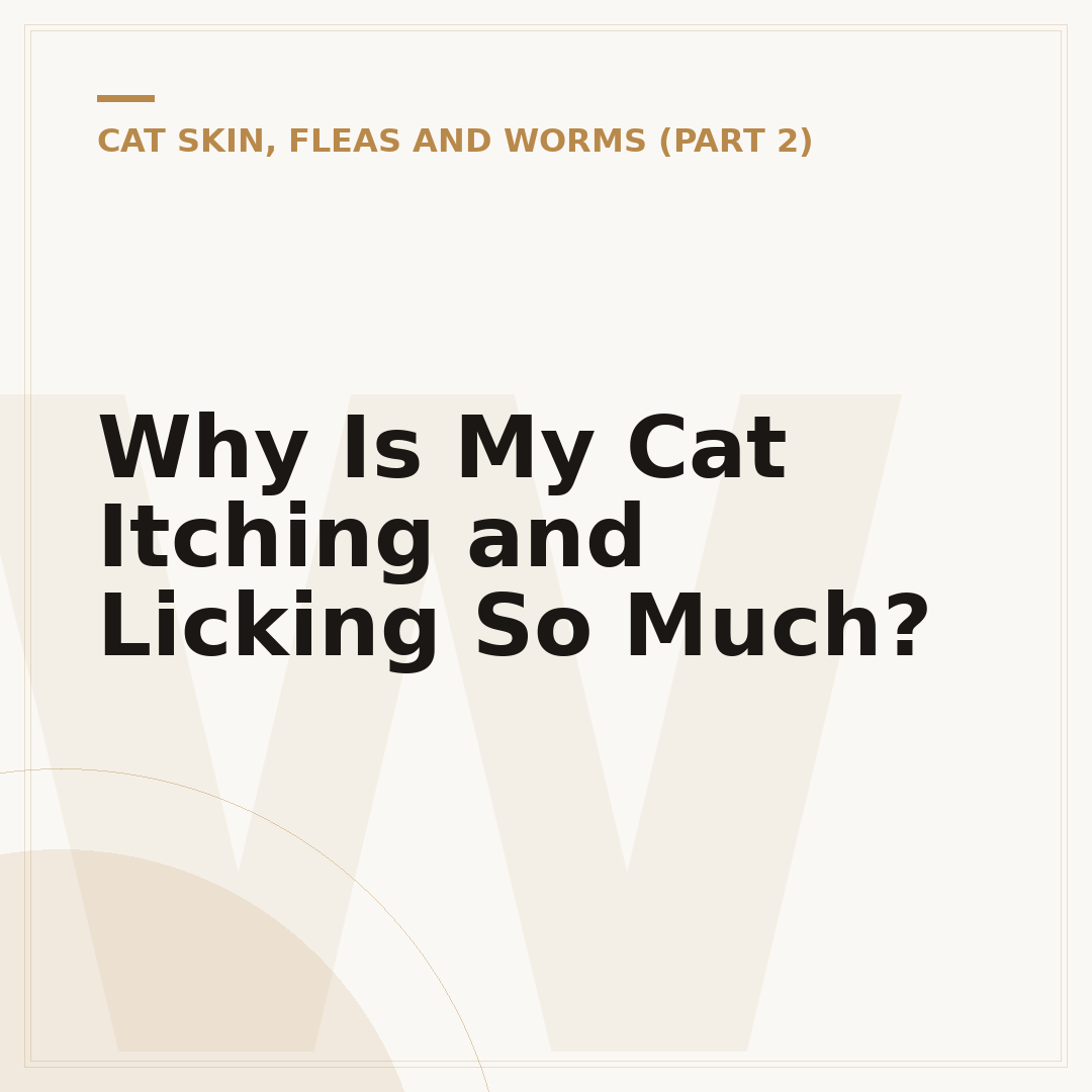 Why Is My Cat Itching and Licking So Much?