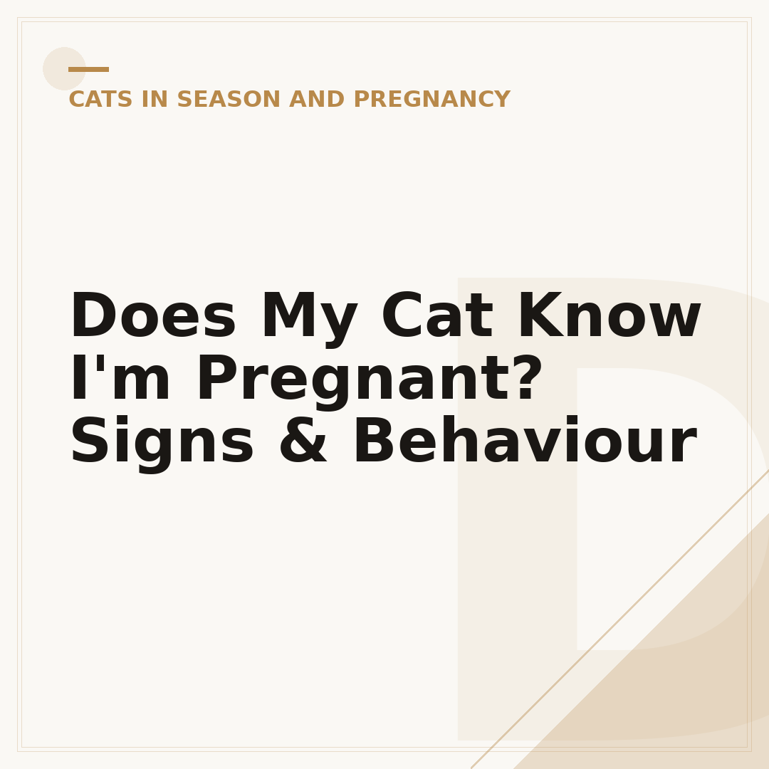 Does My Cat Know I'm Pregnant? Signs & Behaviour