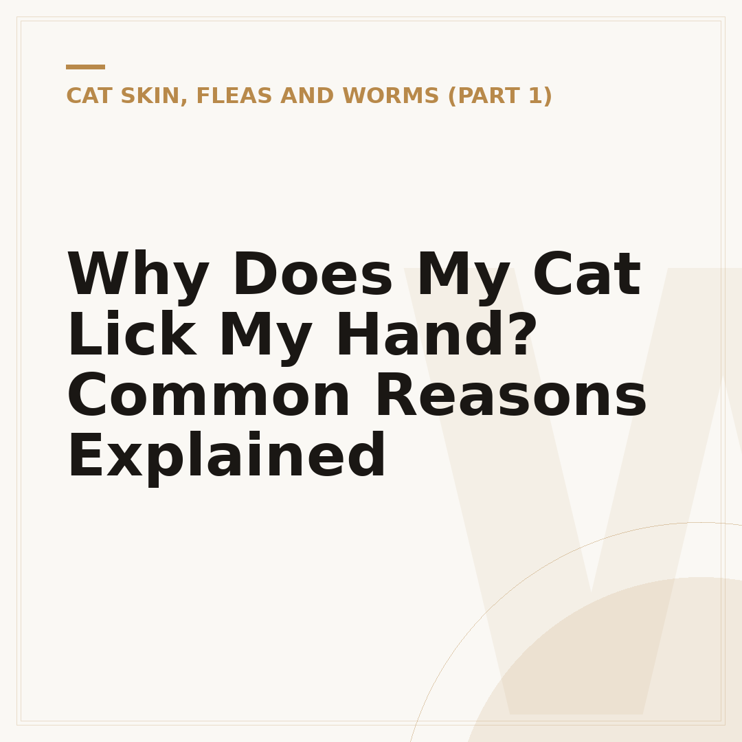 Why Does My Cat Lick My Hand? Common Reasons Explained