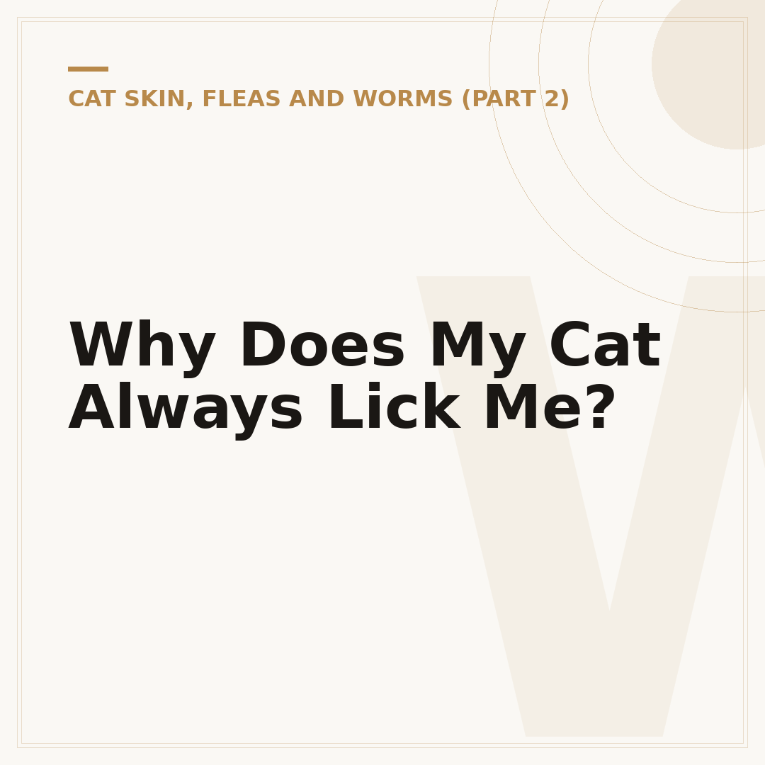 Why Does My Cat Always Lick Me?