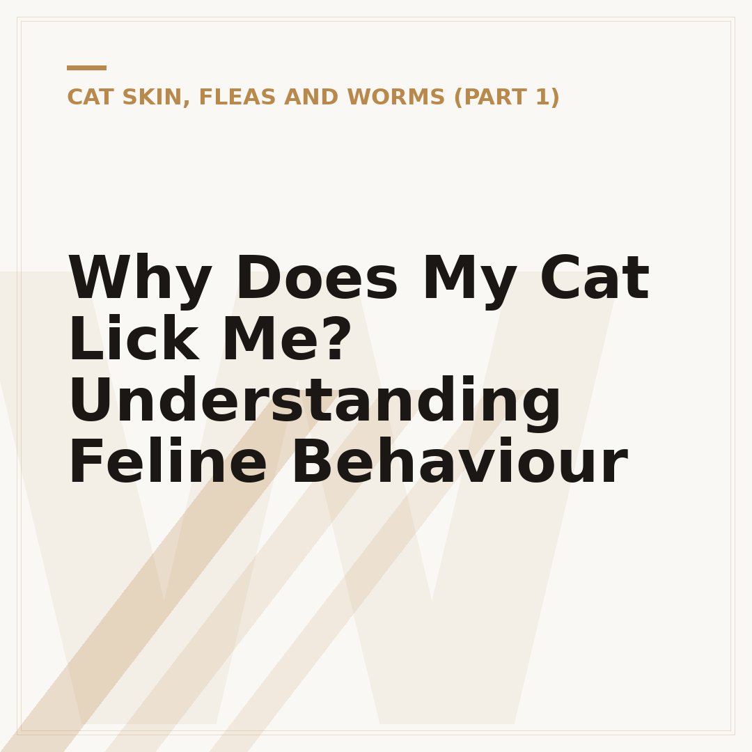 Why Does My Cat Lick Me? Understanding Feline Behaviour