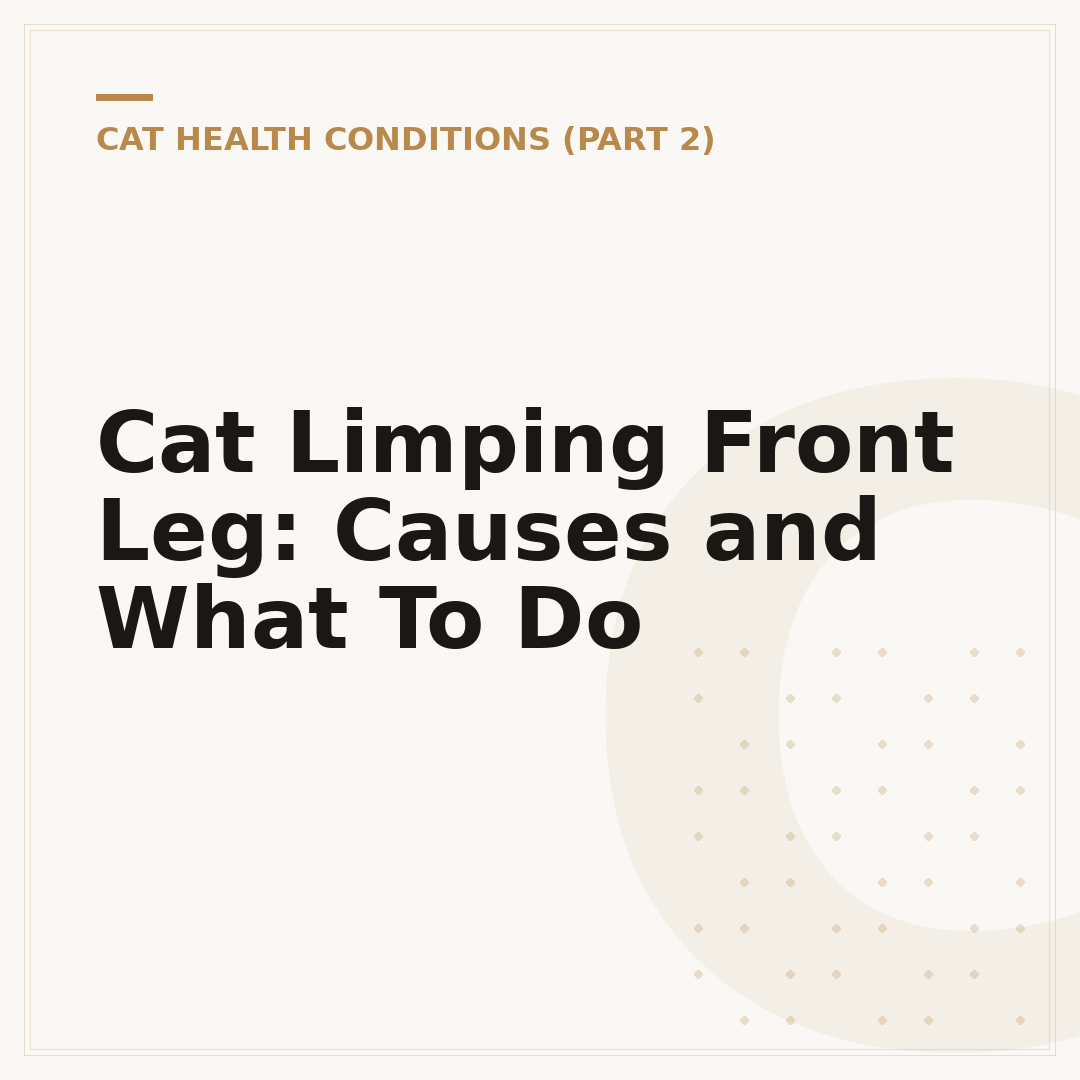Cat Limping Front Leg: Causes and What To Do