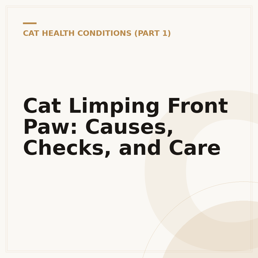 Cat Limping Front Paw: Causes, Checks, and Care