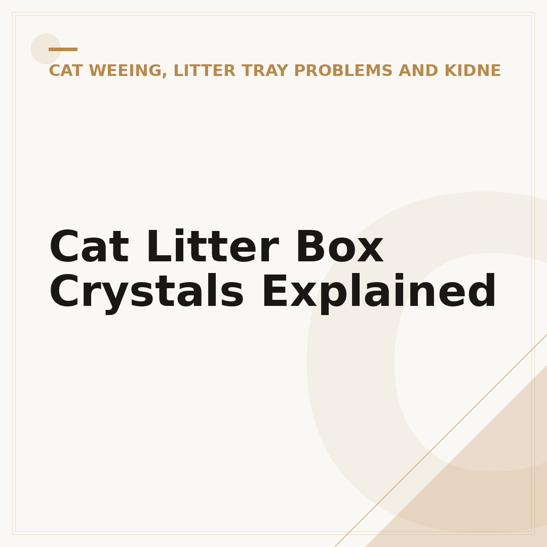 Cat Litter Box Crystals Explained