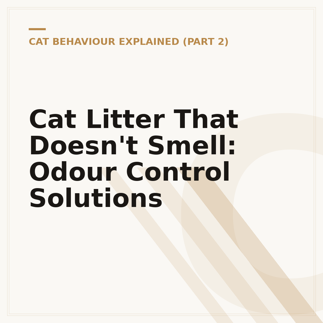 Cat Litter That Doesn't Smell: Odour Control Solutions