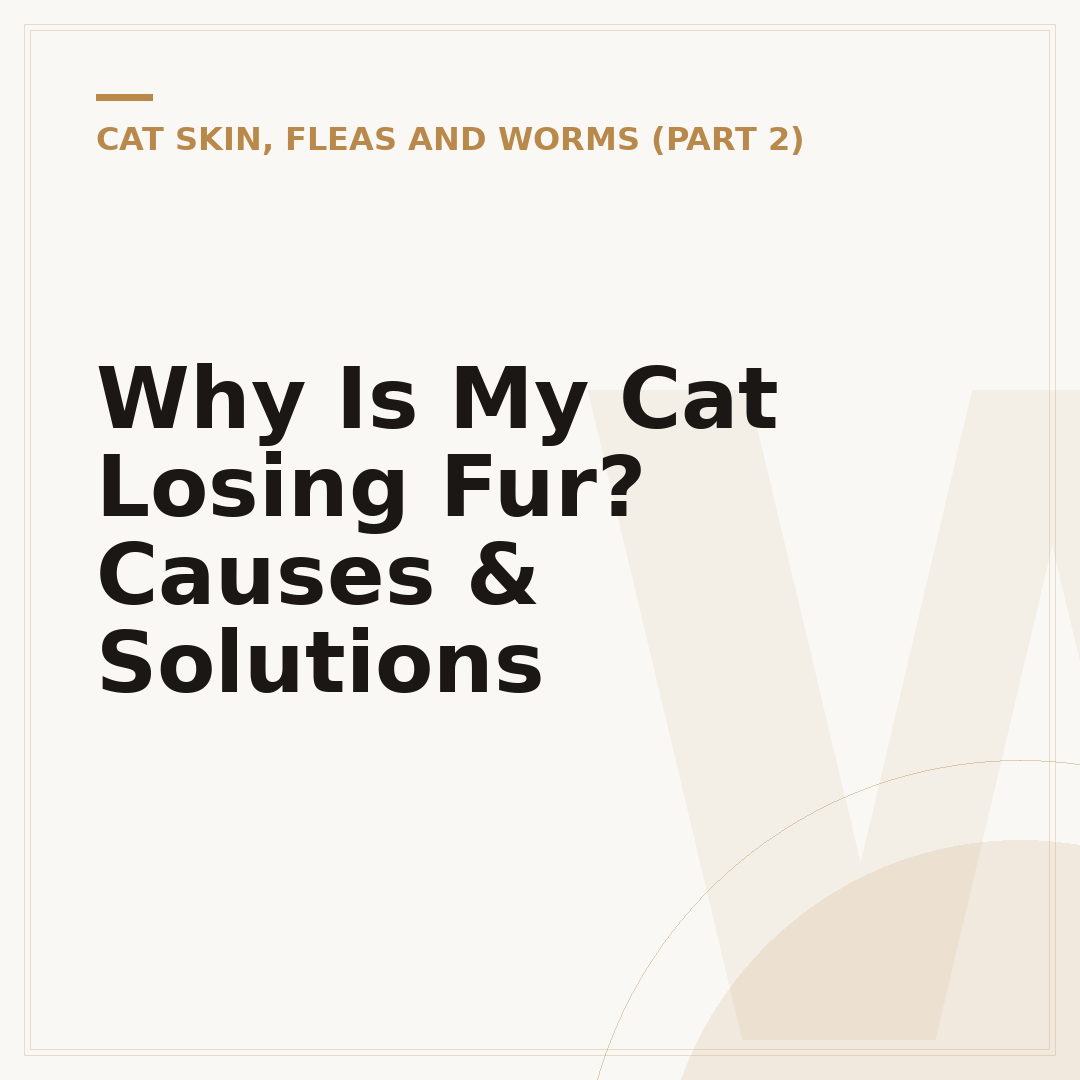 Why Is My Cat Losing Fur? Causes & Solutions