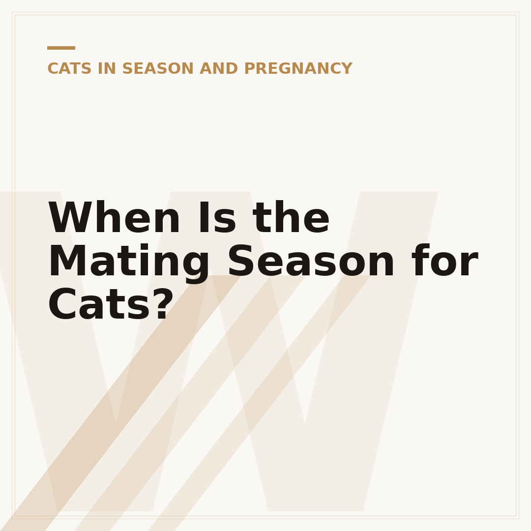 When Is the Mating Season for Cats?
