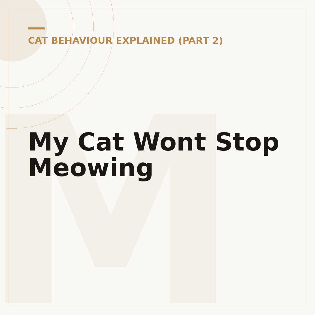 My Cat Wont Stop Meowing