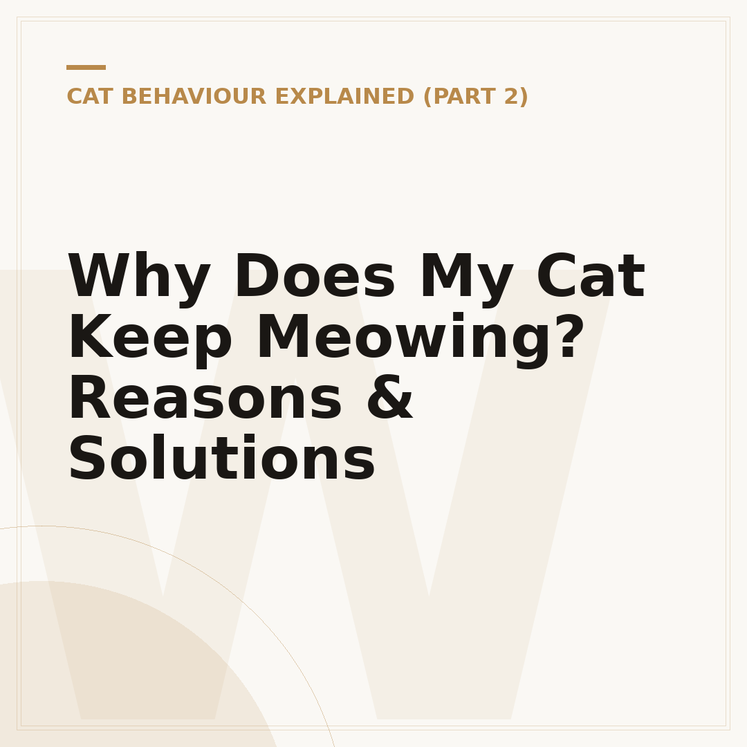 Why Does My Cat Keep Meowing? Reasons & Solutions