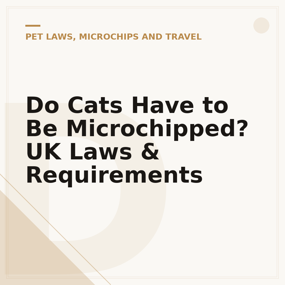 Do Cats Have to Be Microchipped? UK Laws & Requirements