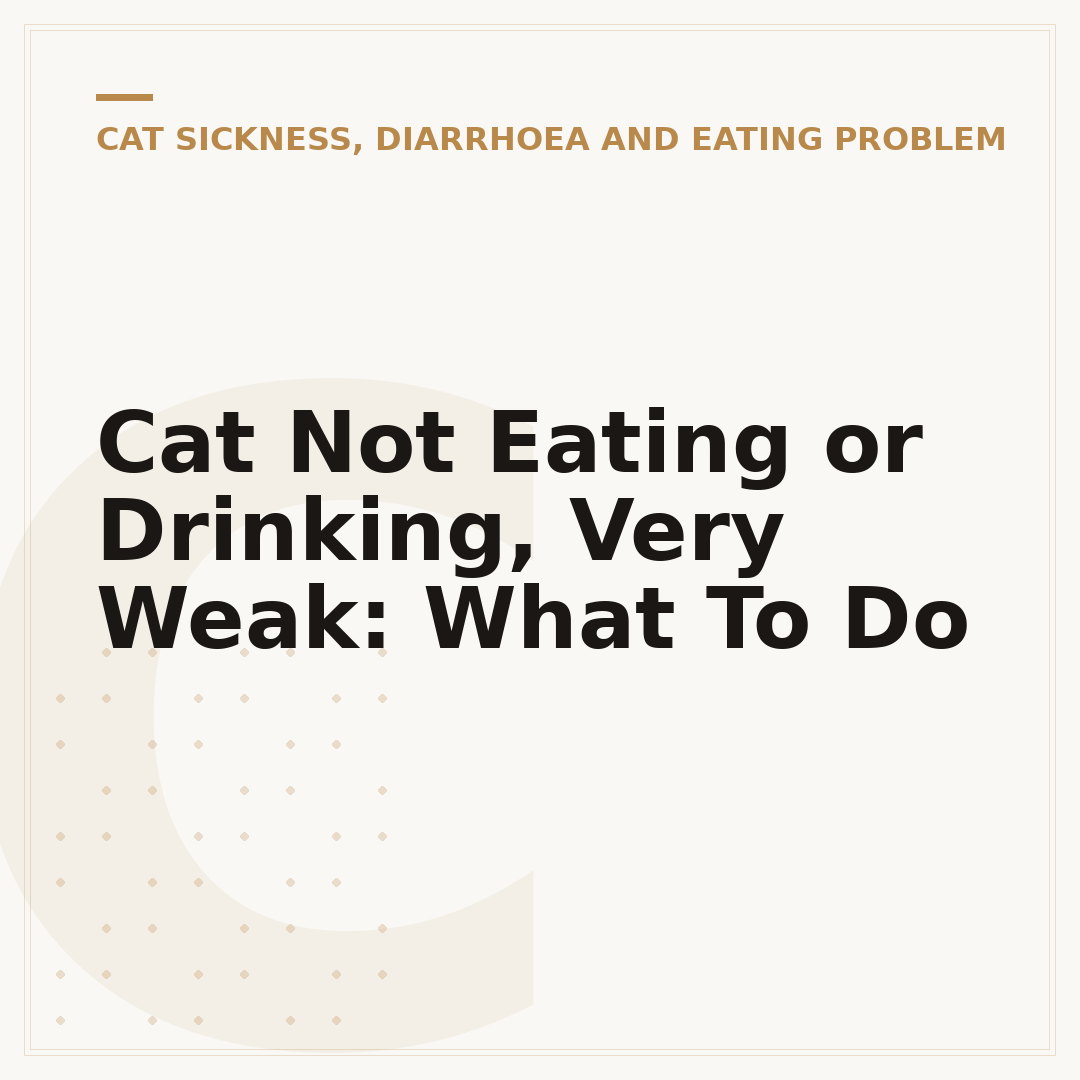 Cat Not Eating or Drinking, Very Weak: What To Do