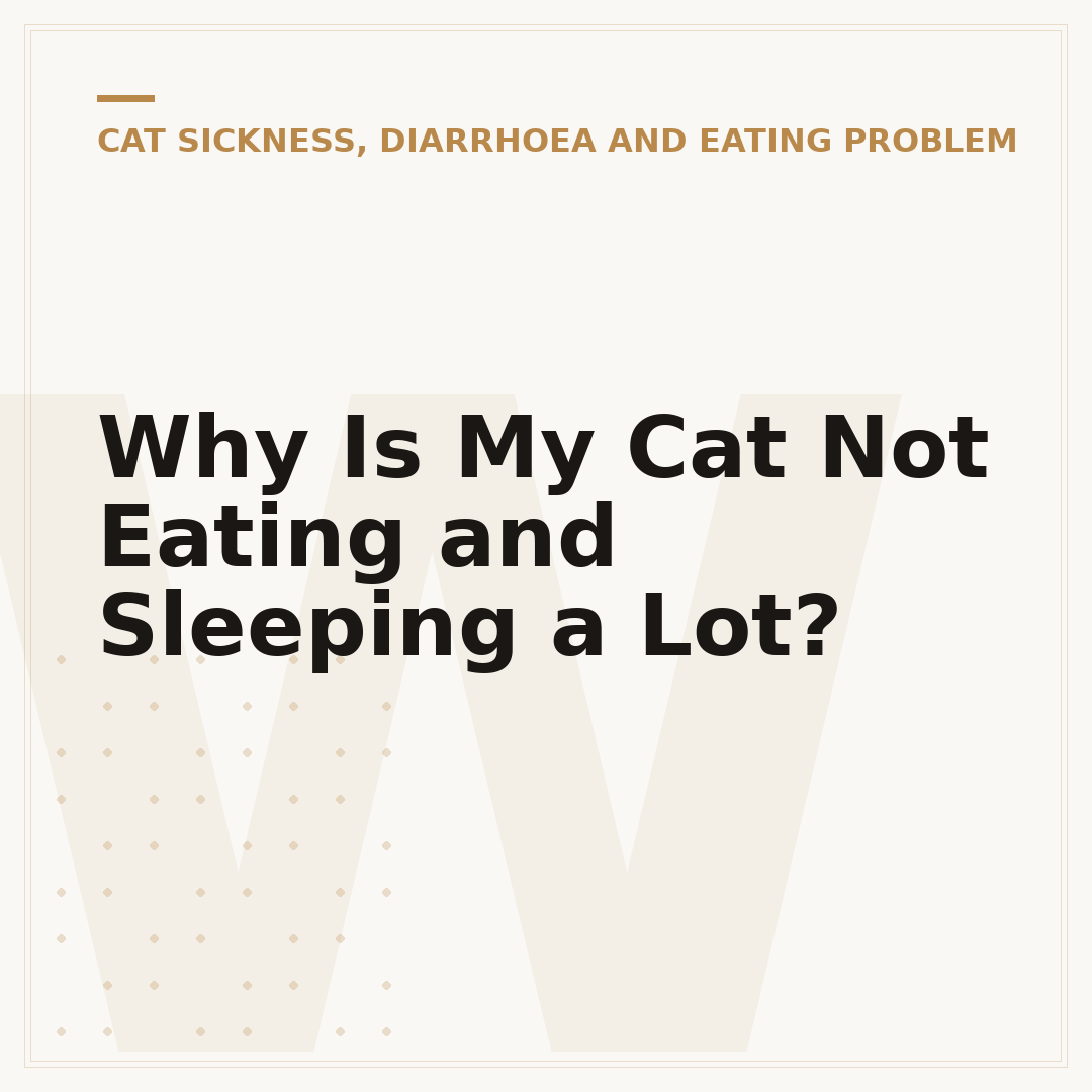 Why Is My Cat Not Eating and Sleeping a Lot?