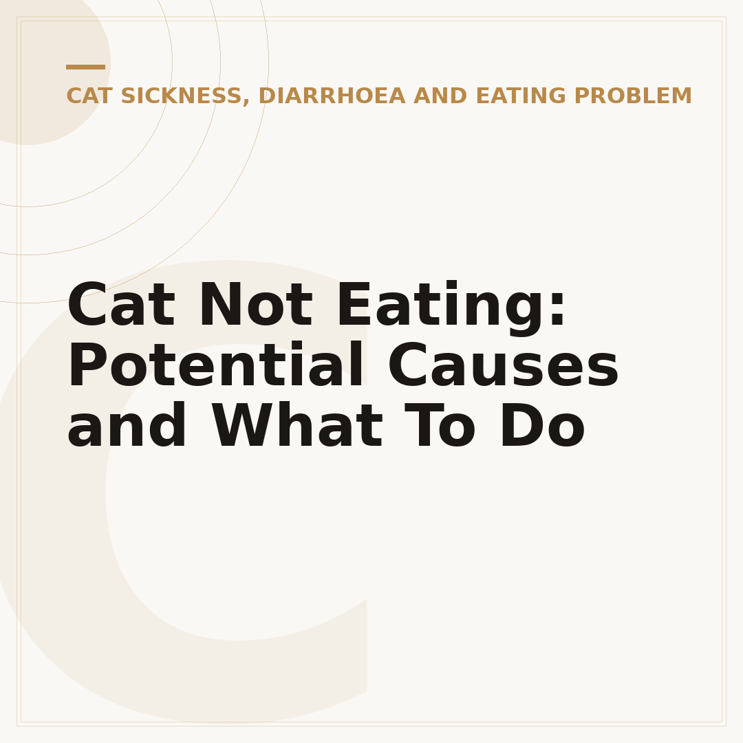 Cat Not Eating: Potential Causes and What To Do