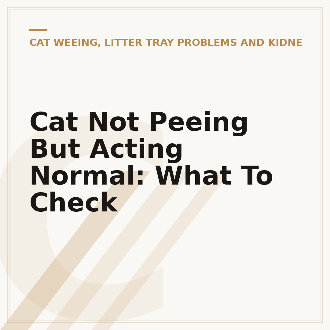 Cat Not Peeing But Acting Normal: What To Check
