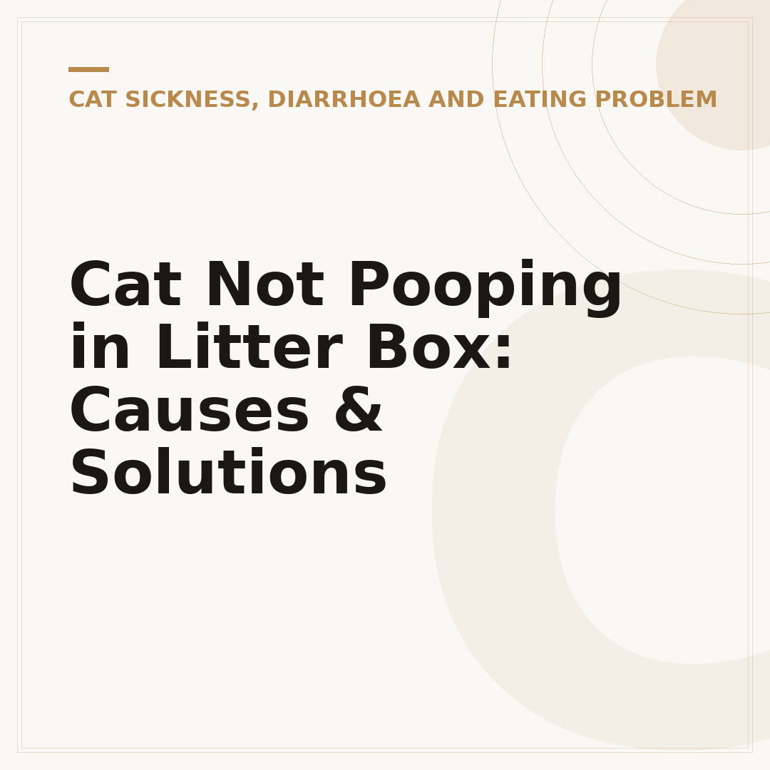 Cat Not Pooping in Litter Box: Causes & Solutions
