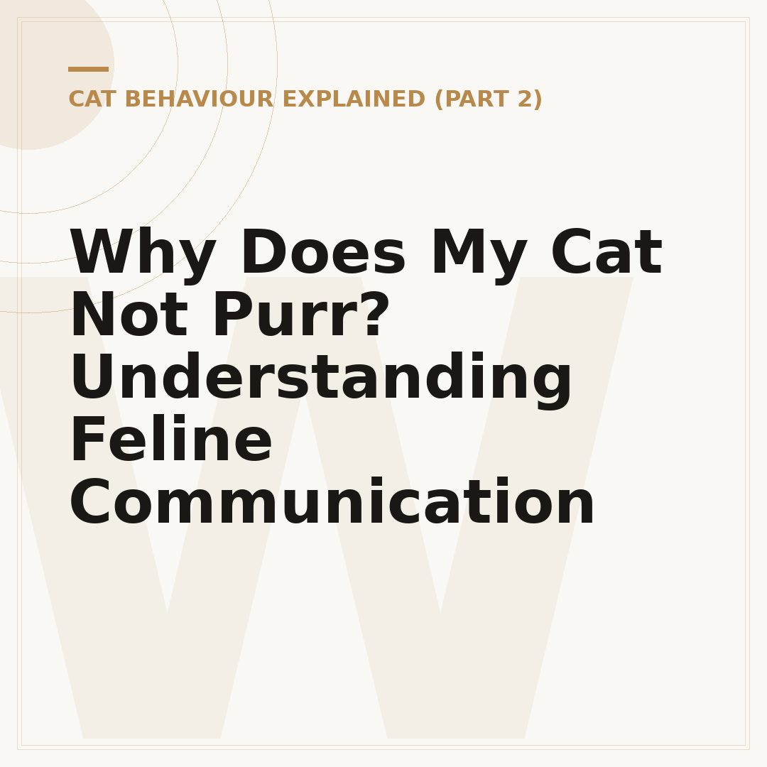 Why Does My Cat Not Purr? Understanding Feline Communication