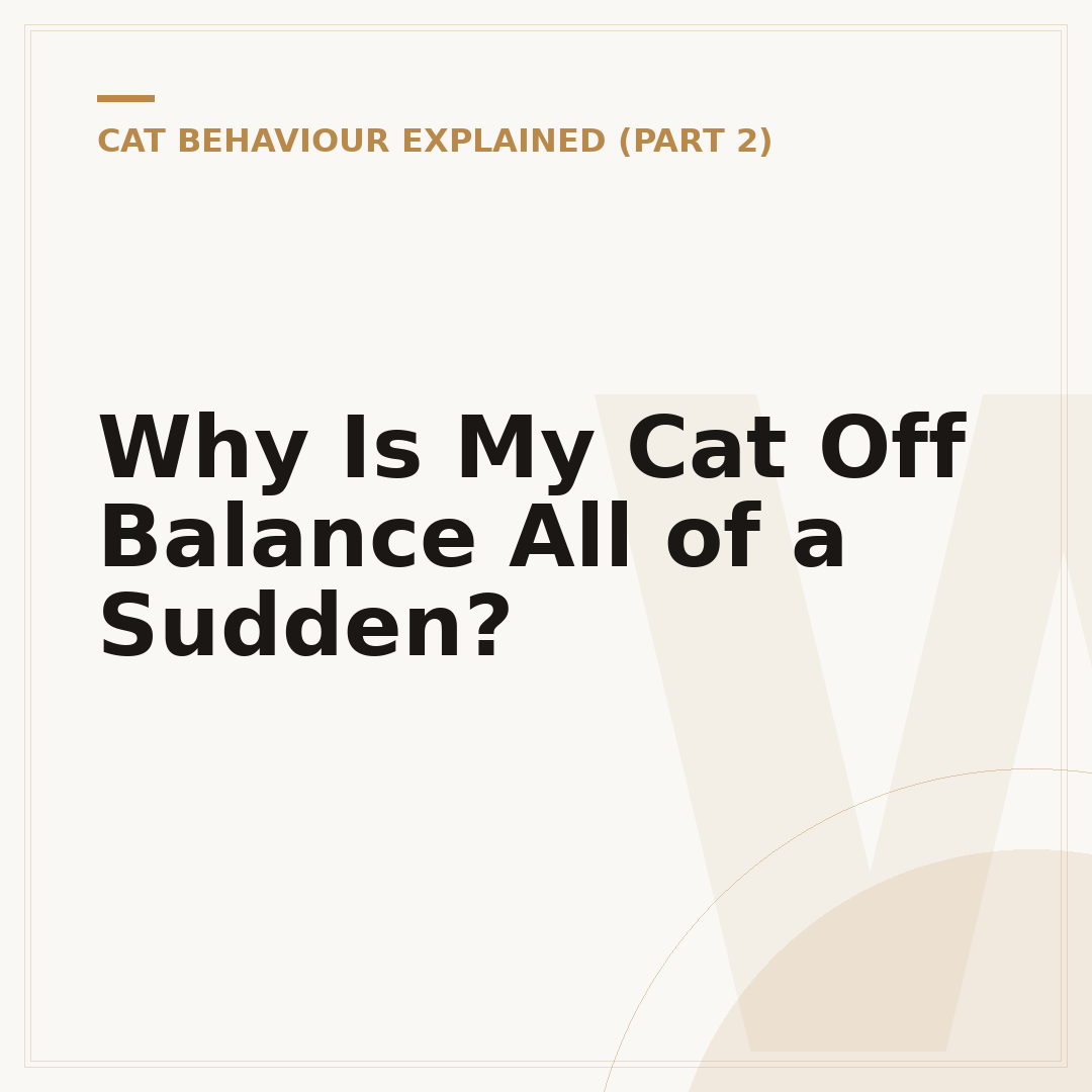 Why Is My Cat Off Balance All of a Sudden?