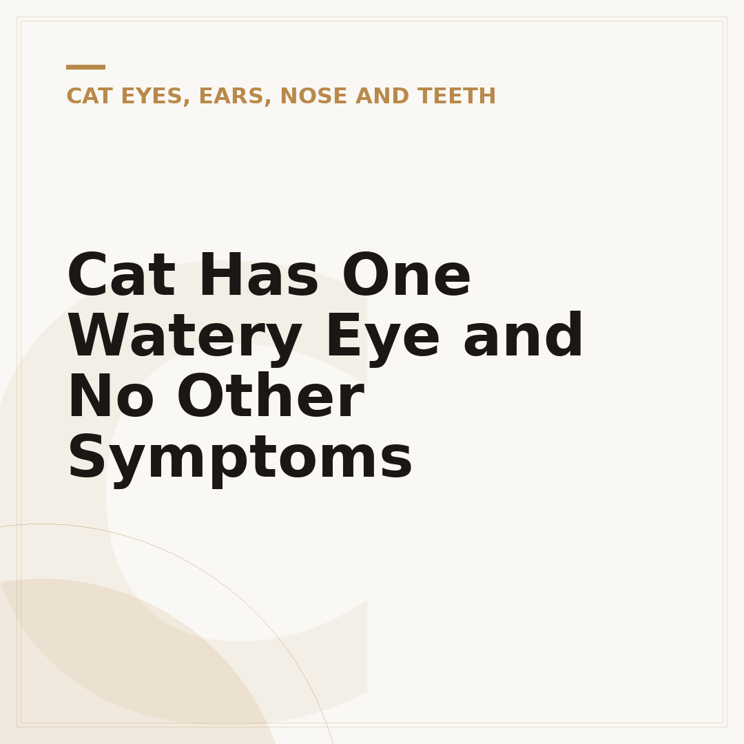 Cat Has One Watery Eye and No Other Symptoms