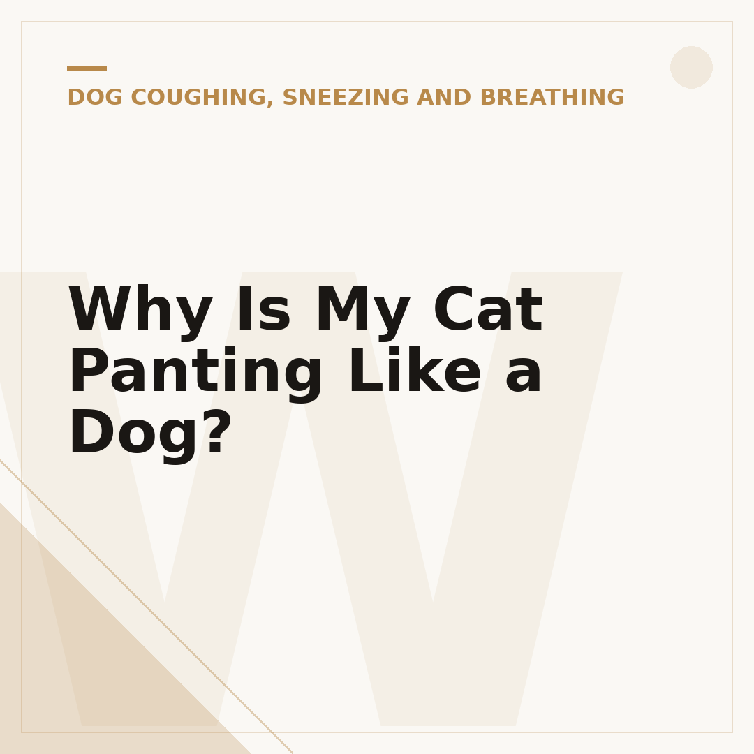 Why Is My Cat Panting Like a Dog?