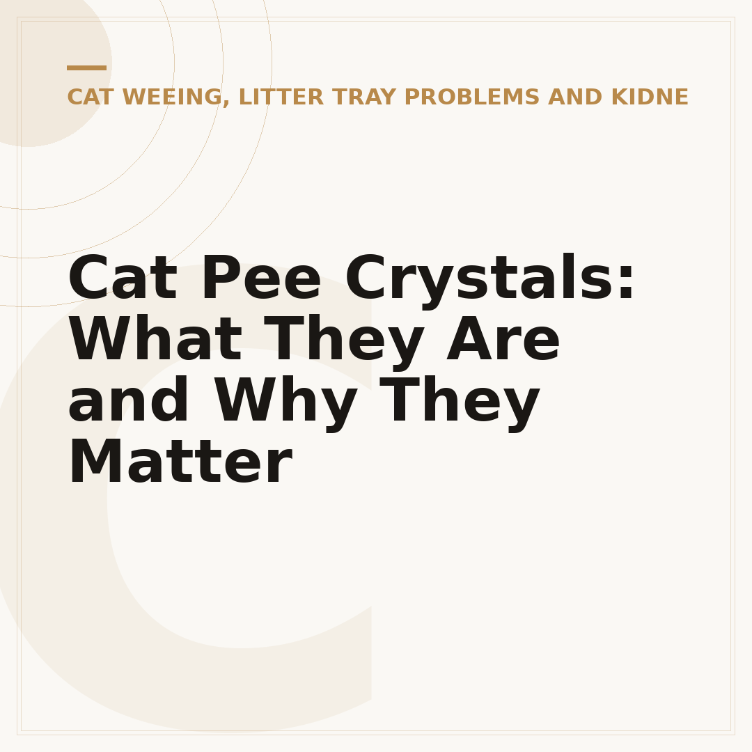 Cat Pee Crystals: What They Are and Why They Matter
