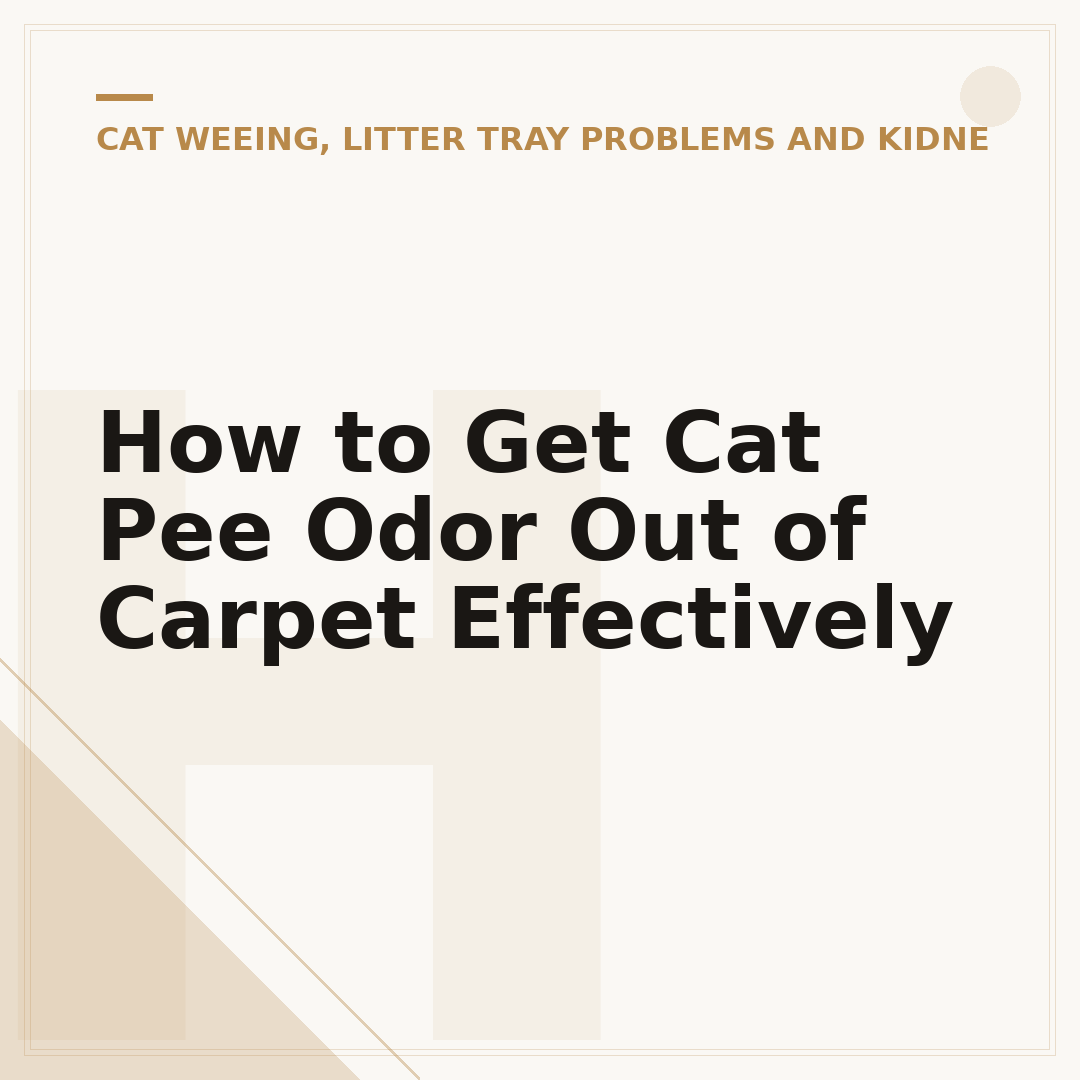How to Get Cat Pee Odor Out of Carpet Effectively