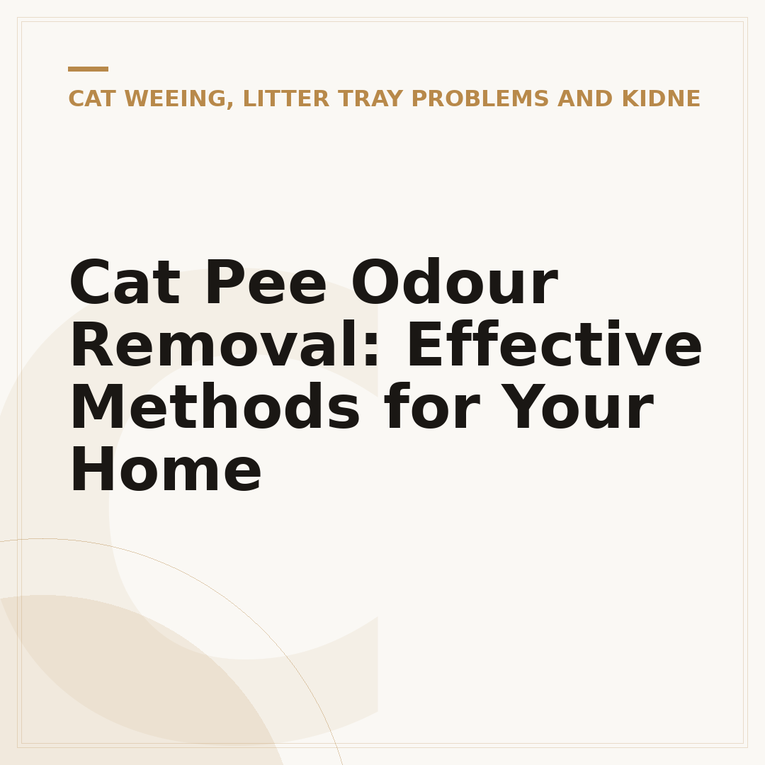 Cat Pee Odour Removal: Effective Methods for Your Home