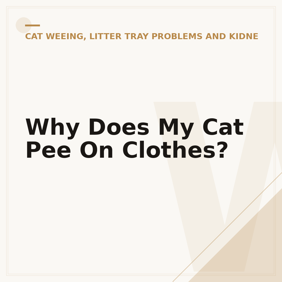 Why Does My Cat Pee On Clothes?