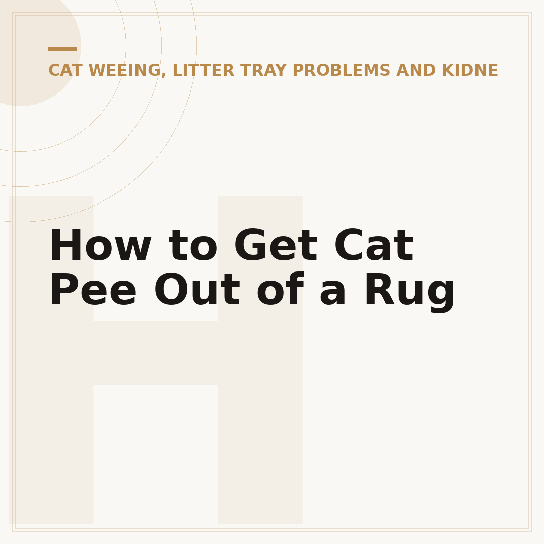 How to Get Cat Pee Out of a Rug