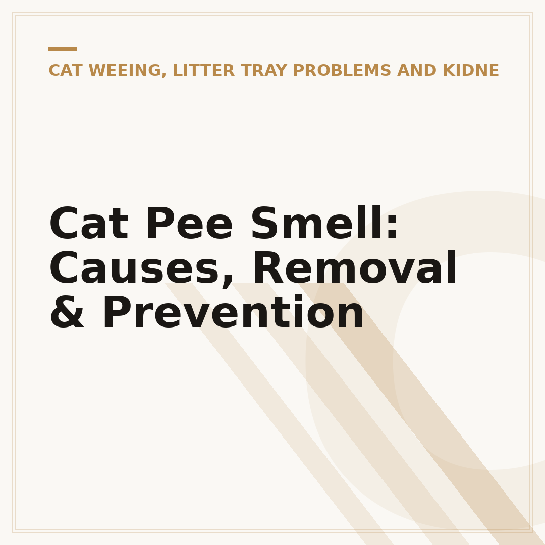 Cat Pee Smell: Causes, Removal & Prevention