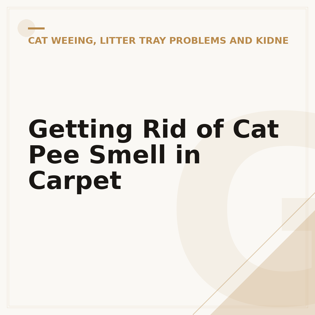 Getting Rid of Cat Pee Smell in Carpet