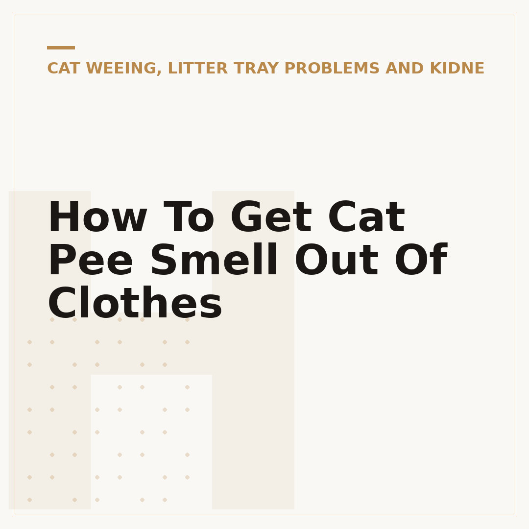 How To Get Cat Pee Smell Out Of Clothes