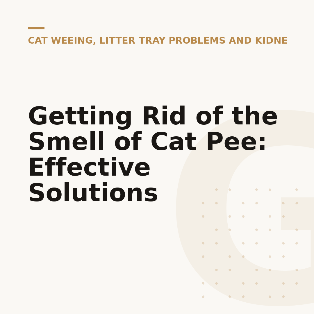 Getting Rid of the Smell of Cat Pee: Effective Solutions