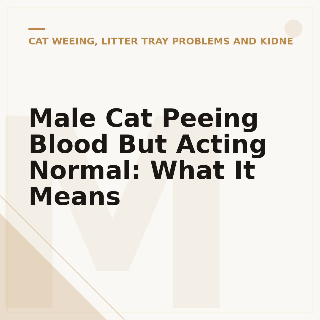 Male Cat Peeing Blood But Acting Normal: What It Means