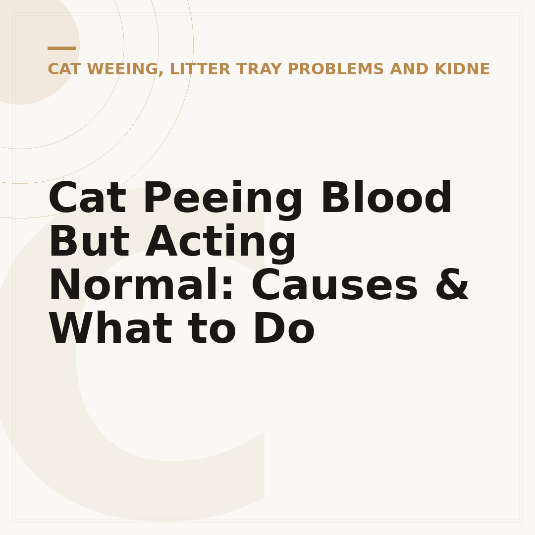 Cat Peeing Blood But Acting Normal: Causes & What to Do