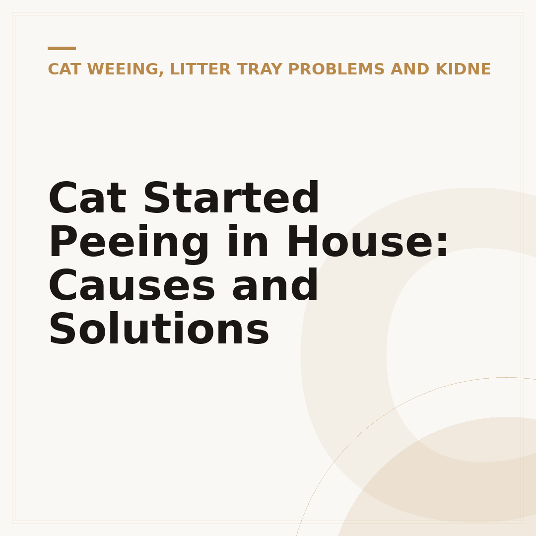 Cat Started Peeing in House: Causes and Solutions