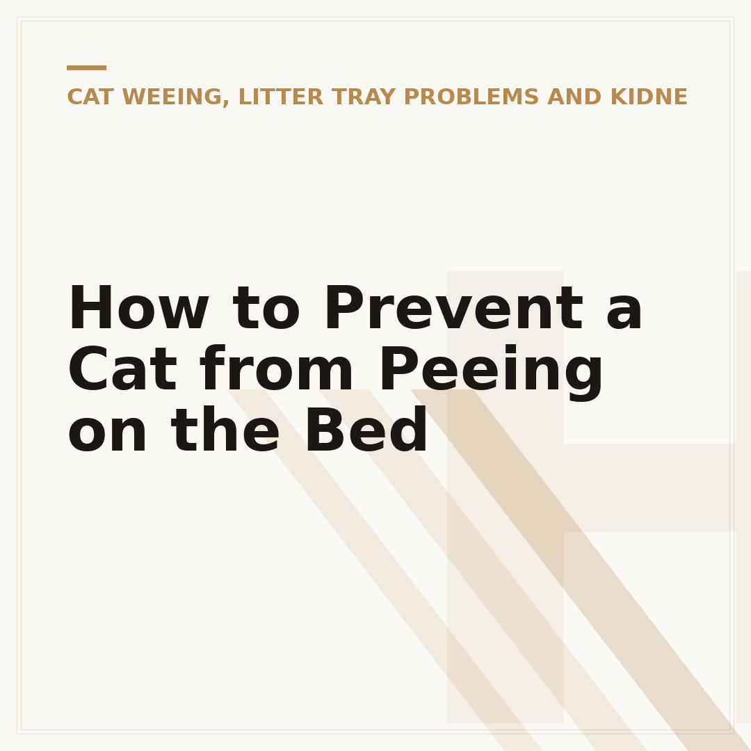 How to Prevent a Cat from Peeing on the Bed