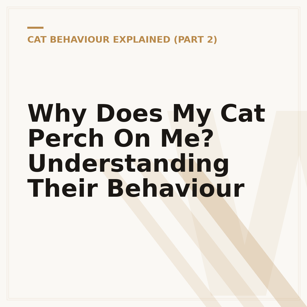 Why Does My Cat Perch On Me? Understanding Their Behaviour