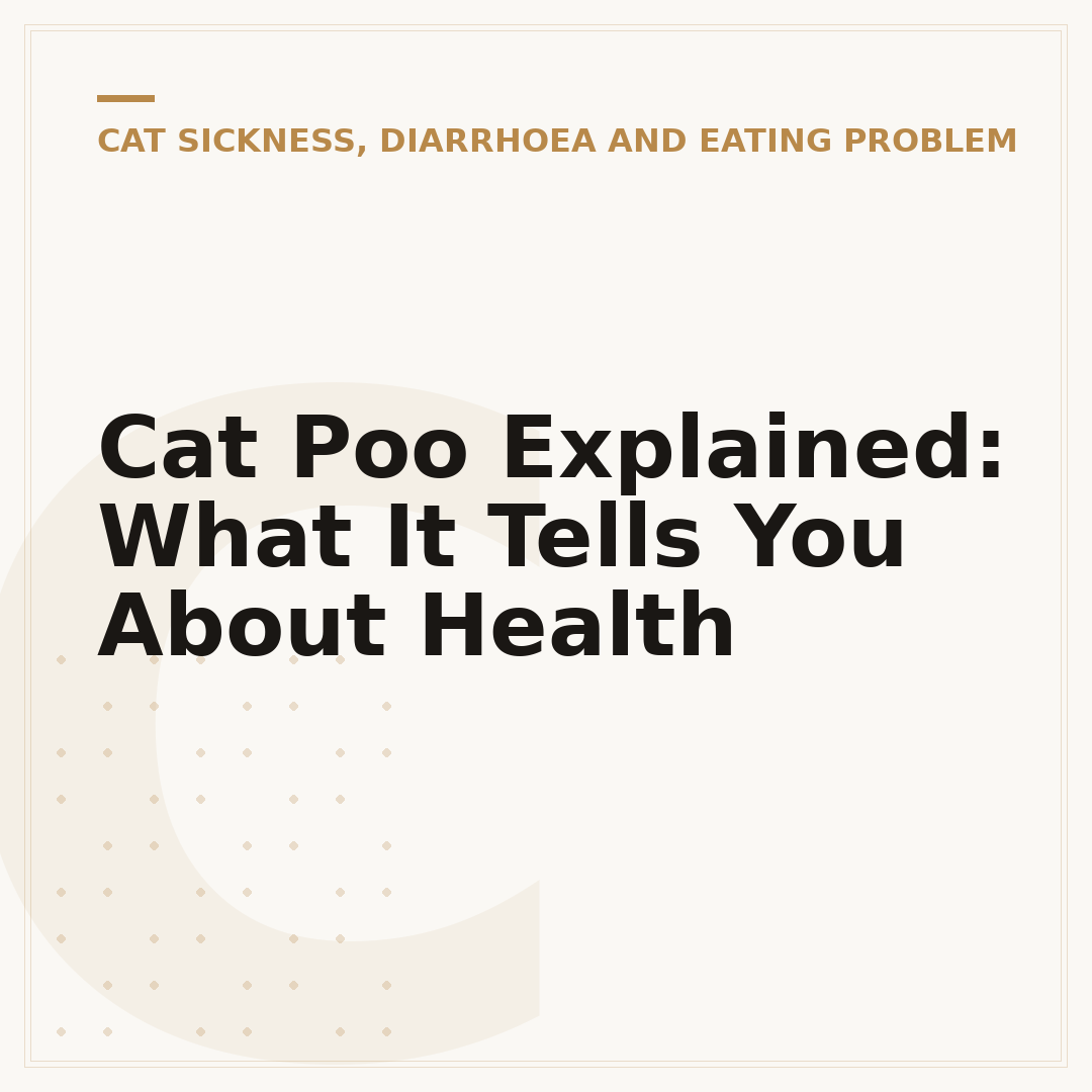 Cat Poo Explained: What It Tells You About Health