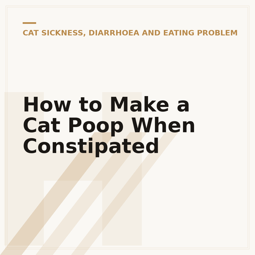 How to Make a Cat Poop When Constipated