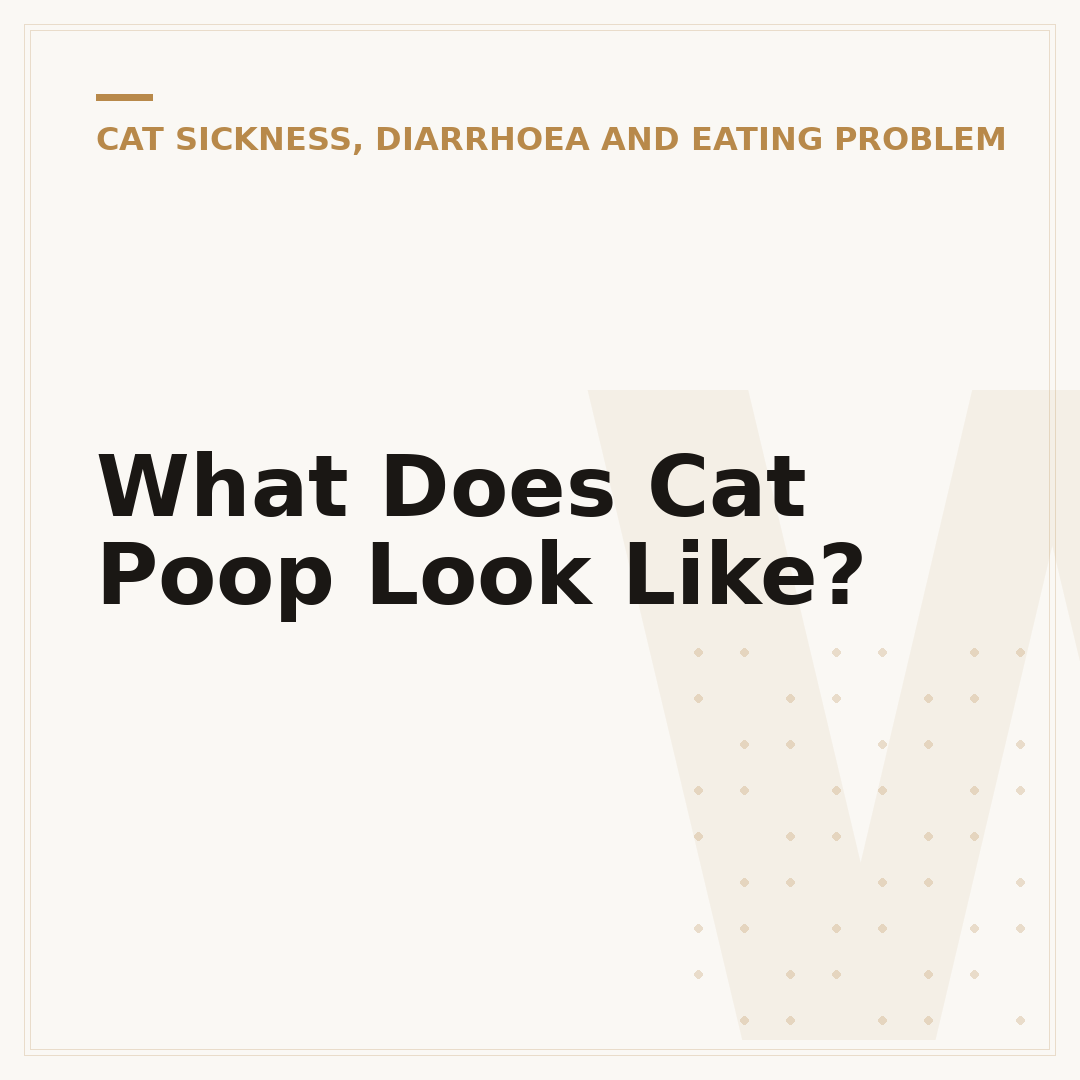 What Does Cat Poop Look Like?