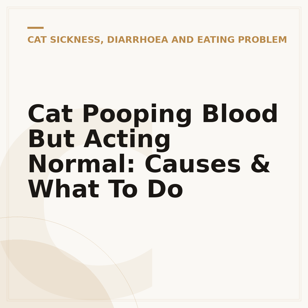Cat Pooping Blood But Acting Normal: Causes & What To Do