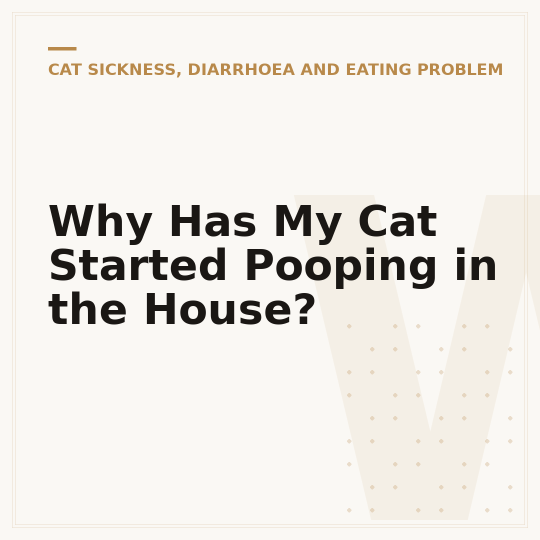 Why Has My Cat Started Pooping in the House?
