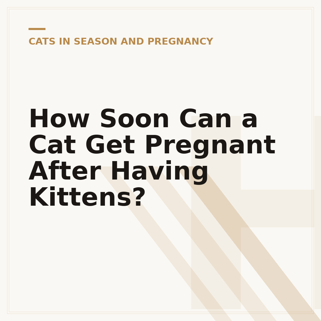 How Soon Can a Cat Get Pregnant After Having Kittens?
