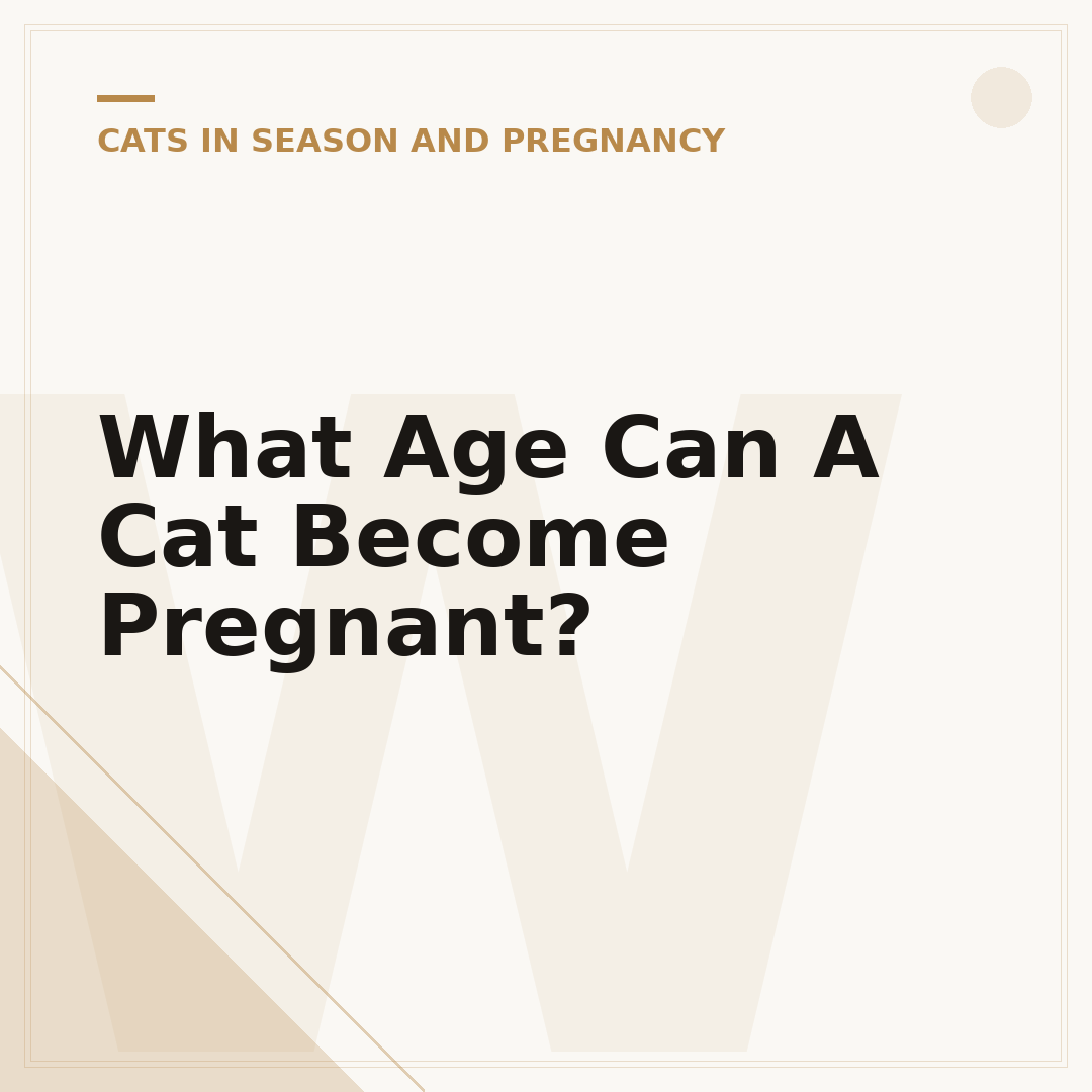 What Age Can A Cat Become Pregnant?