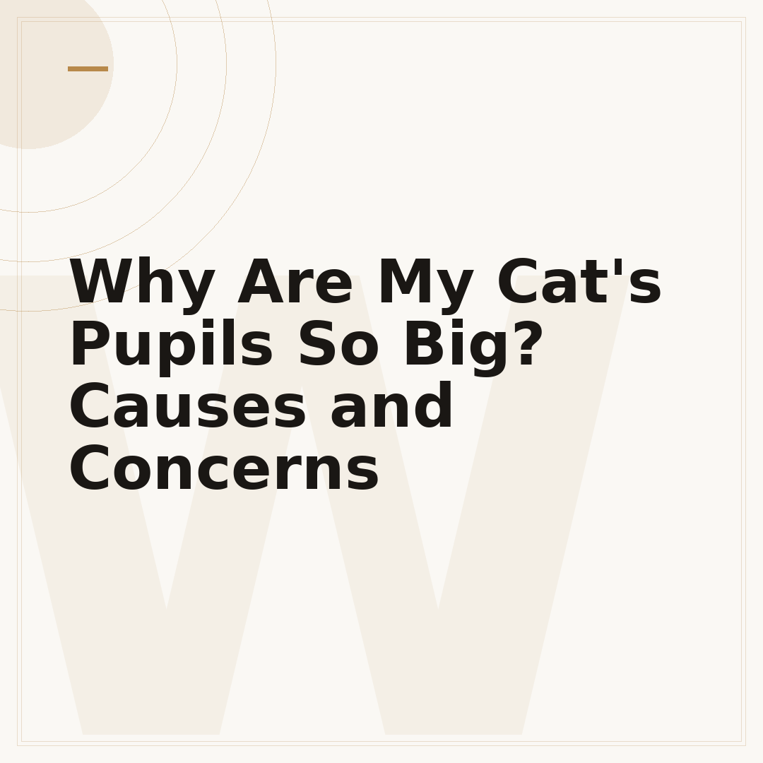 Why Are My Cat's Pupils So Big? Causes and Concerns