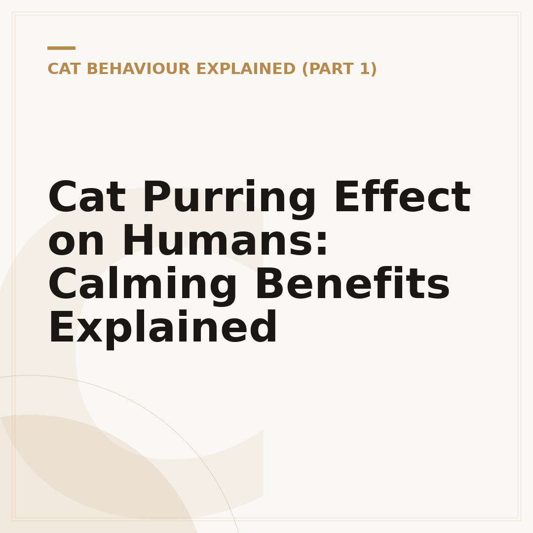 Cat Purring Effect on Humans: Calming Benefits Explained