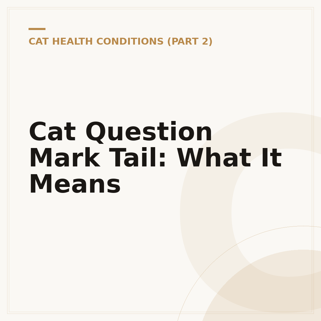 Cat Question Mark Tail: What It Means