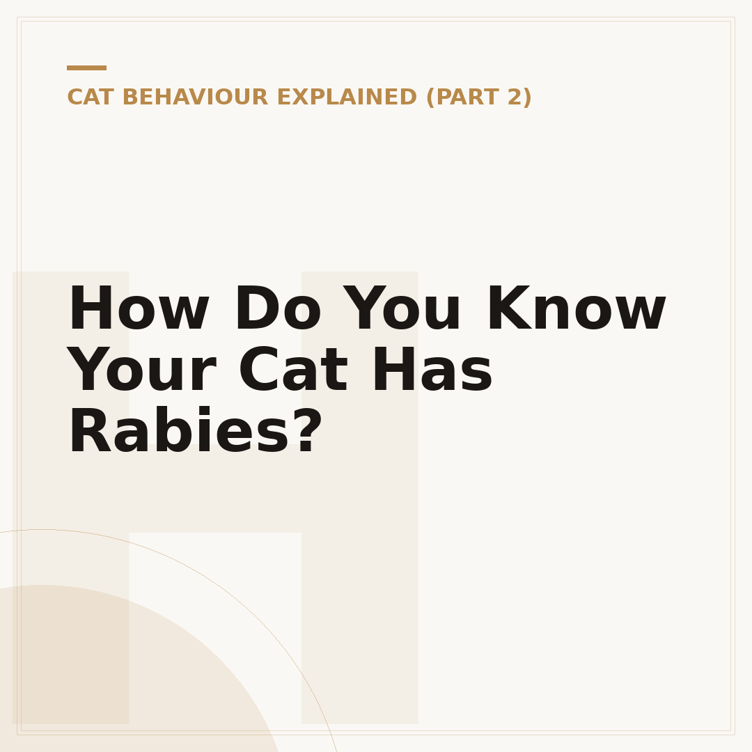 How Do You Know Your Cat Has Rabies?